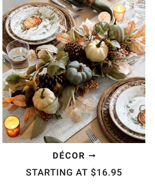 Decor starting at $16.95.