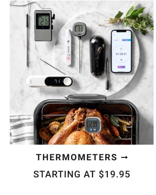 Thermometers starting at $19.95.