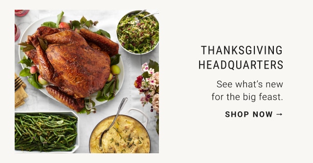 Thanksgiving headquarters - shop now