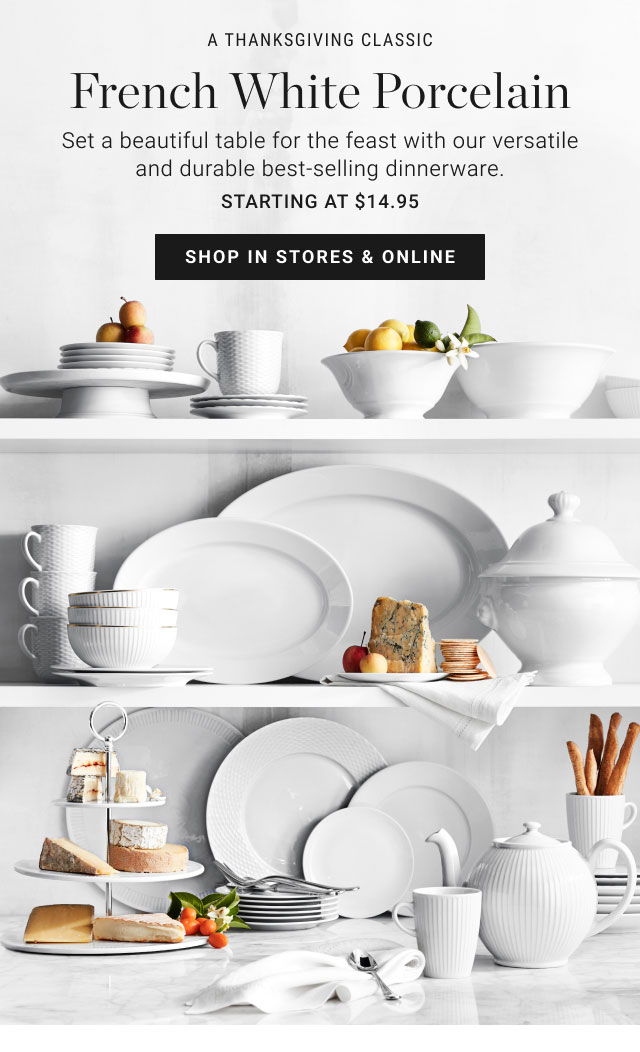 A THANKSGIVING CLASSIC - French White Porcelain - Shop in stores & online