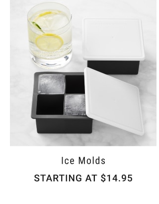 Ice Molds - Starting at $14.95