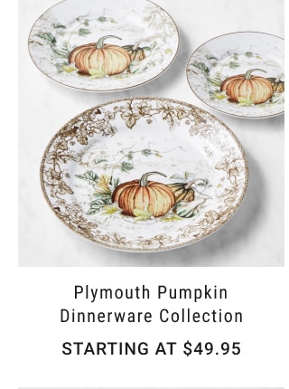 Plymouth Pumpkin Dinnerware Collection - Starting at $49.95