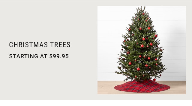 Christmas Trees - Starting at $99.95