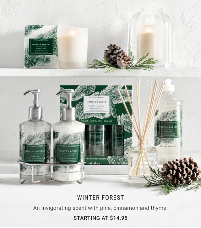 Winter Forest Starting at $14.95