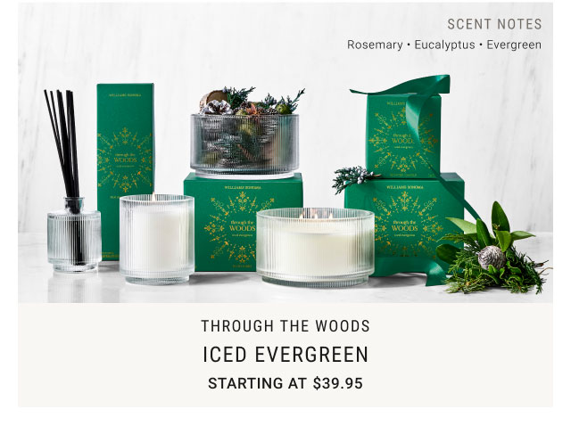 Through the Woods - Iced Evergreen Starting at $39.95