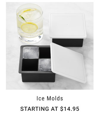 Ice Molds Starting at $14.95