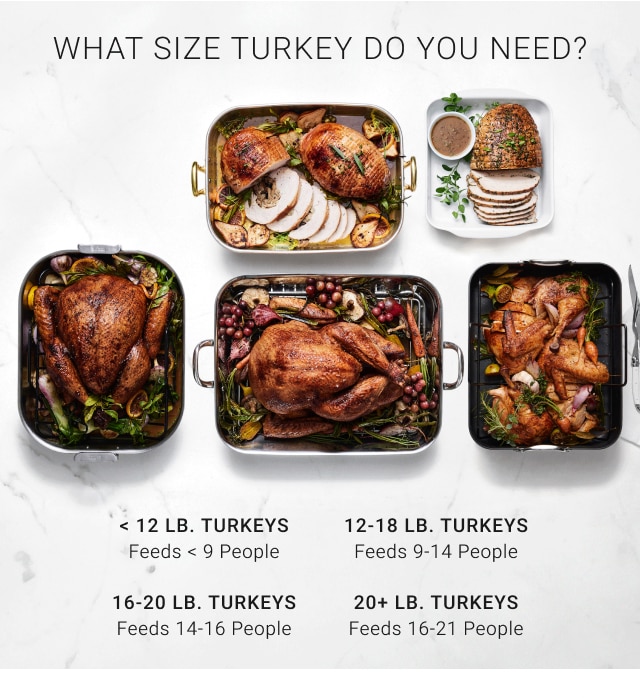 what size turkey do you need?