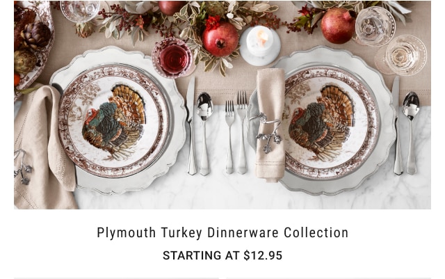 Plymouth Turkey Dinnerware Collection - Starting at $12.95