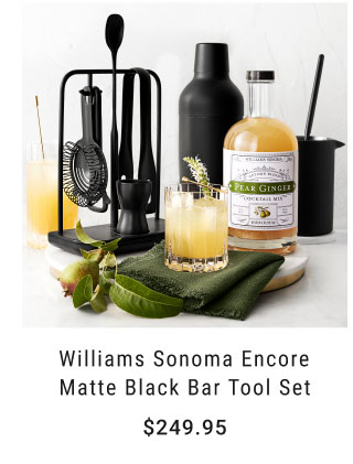 Williams Sonoma Encore Matte Black Bar Tool Set $249.95