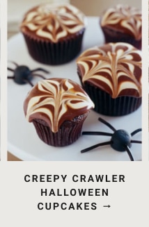 Creepy Crawler Halloween Cupcakes