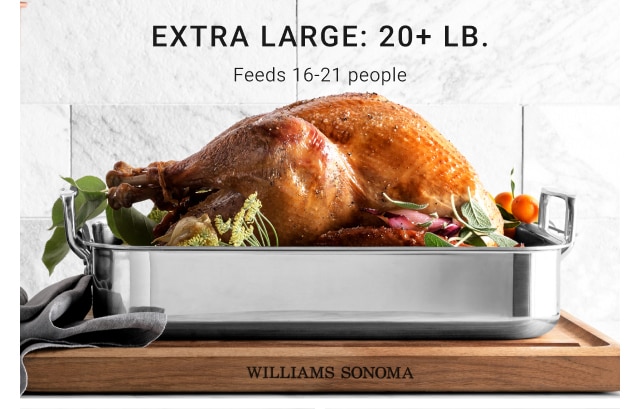 extra large: 20+ lb.