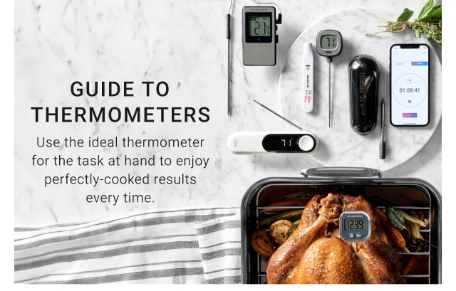 guide to thermometers