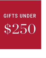 gifts under $250