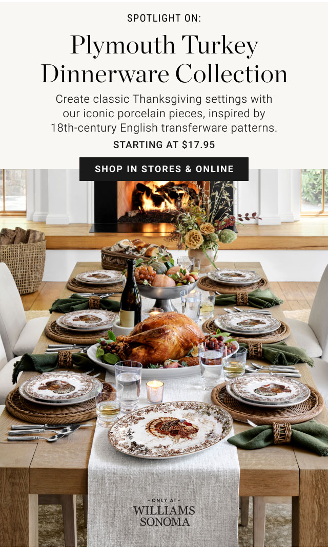 Spotlight on: Plymouth Turkey Dinnerware Collection - Shop in stores & online