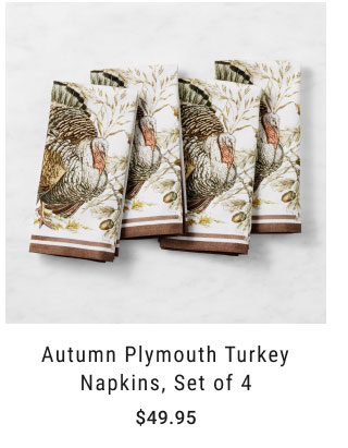 Autumn Plymouth Turkey Napkins, Set of 4 $49.95