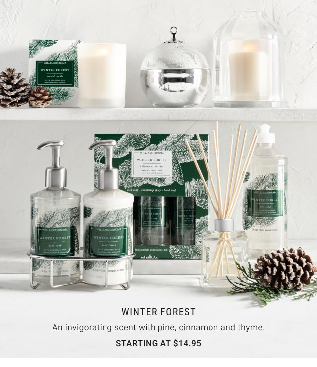 Winter Forest Starting at $14.95