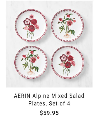 AERIN Alpine Mixed Salad Plates, Set of 4 $59.95