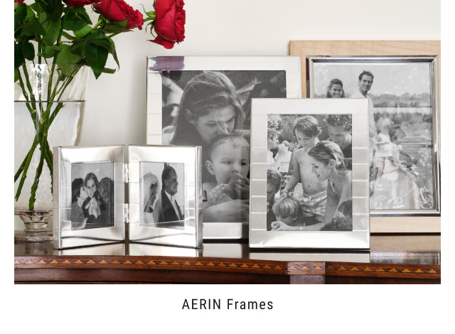 AERIN Frames