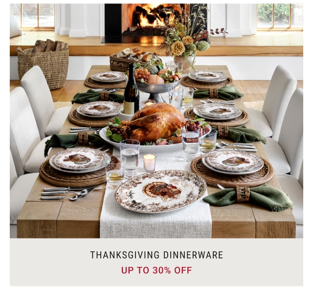 Thanksgiving Dinnerware - Up to 30% off