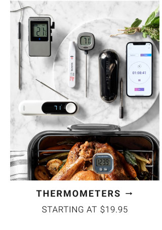 Thermometers starting at $19.95