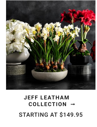 Jeff Leatham Collection - Starting at $149.95