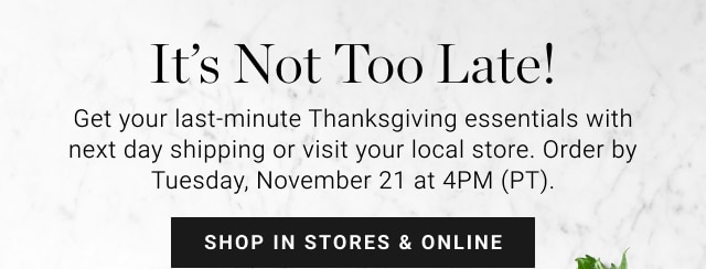 It’s Not Too late! - Get your last-minute Thanksgiving essentials with next day shipping or visit your local store. Order by Tuesday, November 21 at 4PM (PT). - shop in stores & online