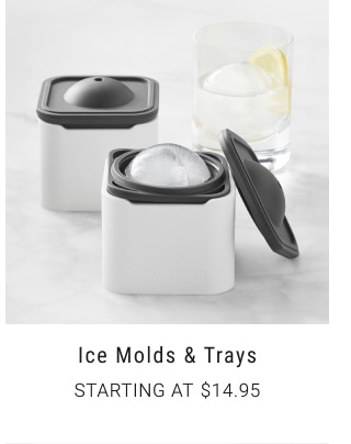 Ice Molds & Trays - Starting at $14.95