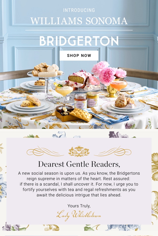 introducing WILLIAMS SONOMA BRIDGERTON - SHOP NOW