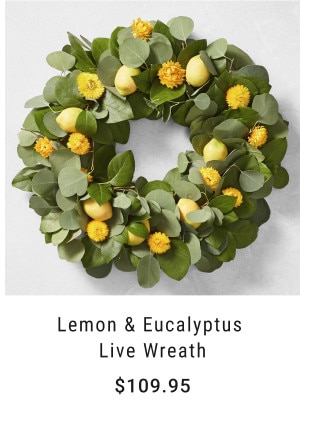 Lemon & Eucalyptus Live Wreath. $109.95.