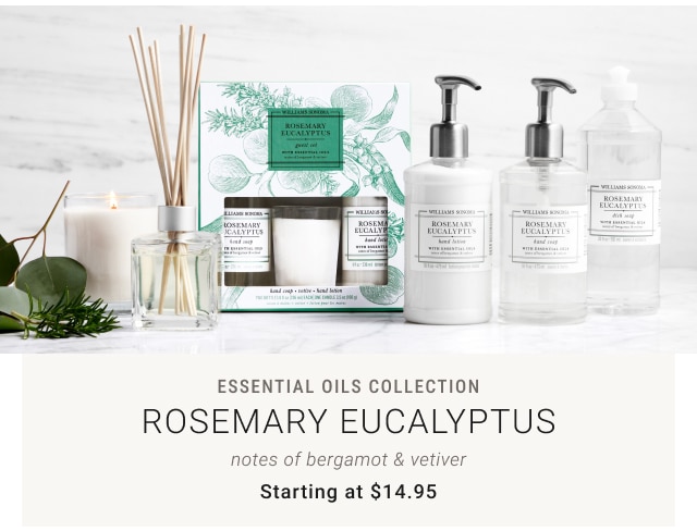 Essential Oils Collection - Rosemary Eucalyptus - notes of bergamot & vetiver Starting at $14.95