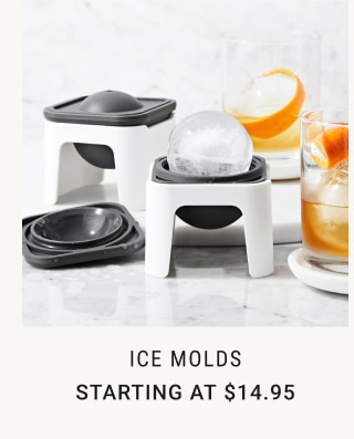 Ice Molds Starting at $14.95