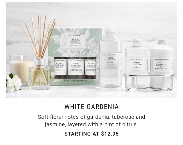 white gardenia Starting at $12.95