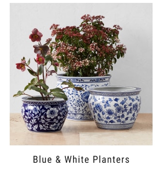 Blue & White Planters