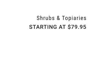 Shrubs & Topiaries - Starting at $79.95
