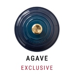 agave Exclusive