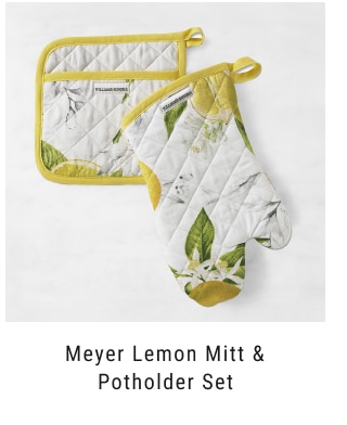 Meyer Lemon Mitt & Potholder Set