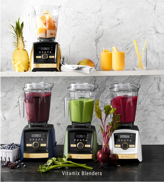 Vitamix Blenders