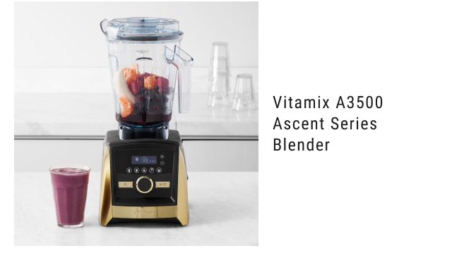 Vitamix A3500 Ascent Series Blender