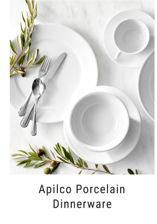 Apilco Porcelain Dinnerware