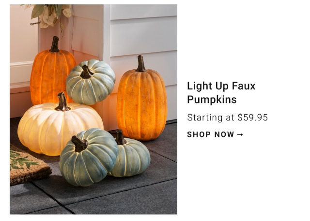 Light Up Faux Pumpkins - shop now