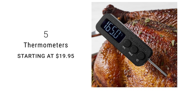 5 - Thermometers Starting at $19.95