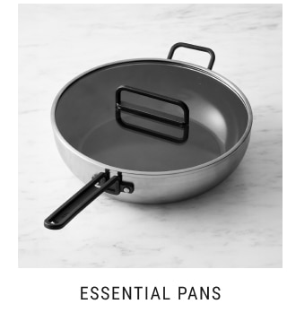 ESSENTIAL PANS