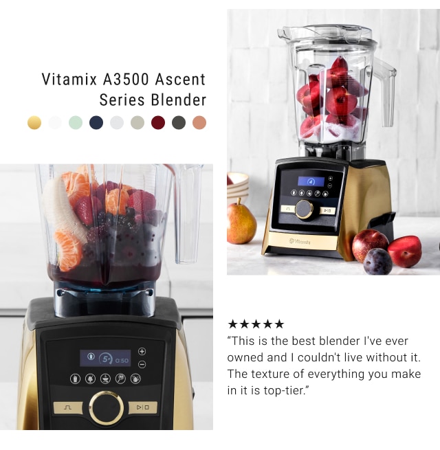 Vitamix A3500 Ascent Series Blender