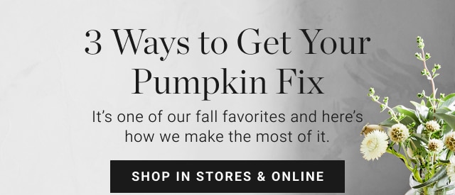 3 Ways to Get Your Pumpkin Fix - shop in stores & online