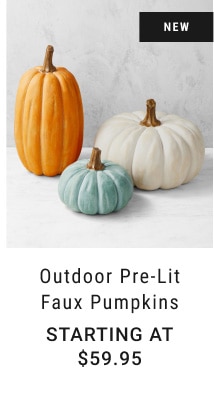 Outdoor Pre-Lit Faux Pumpkins - Starting at $59.95