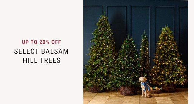 Up To 20% Off Select Balsam Hill Trees