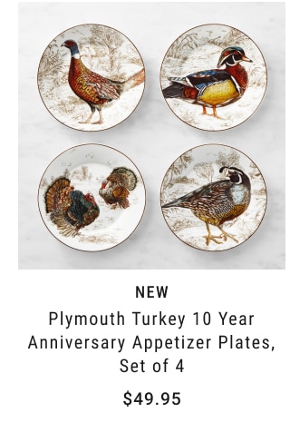 NEW Plymouth Turkey 10 Year Anniversary Appetizer Plates, Set of 4 $49.95