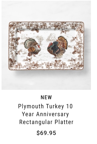 NEW Plymouth Turkey 10 Year Anniversary Individual Tureen $29.95