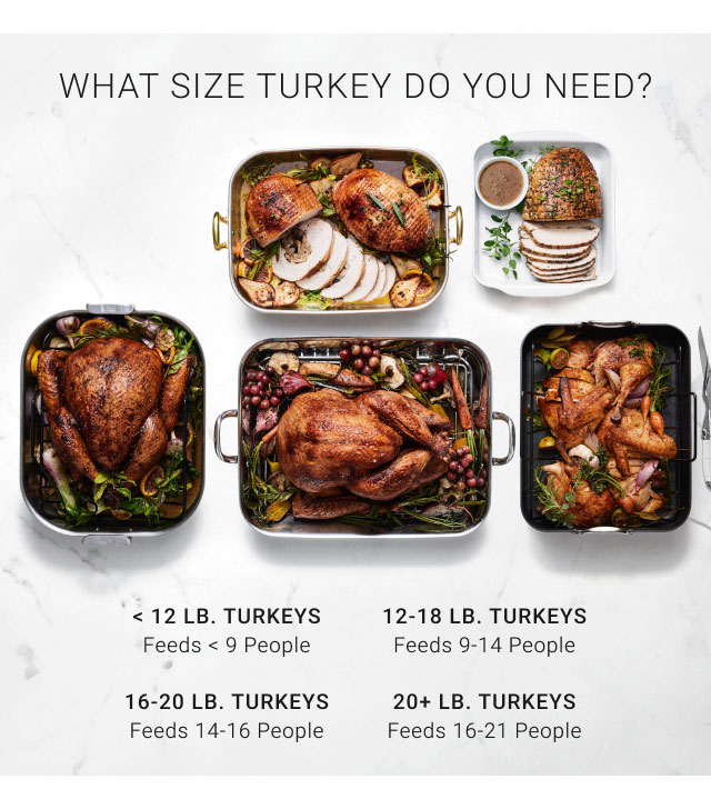 What size turkey do you need? < 12 Lb. turkeys Feeds < 9 People, 12-18 Lb. turkeys Feeds 9-14 People, 16-20 Lb. turkeys Feeds 14-16 People, 20+ Lb. turkeys Feeds 16-21 People