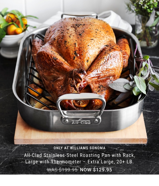 only at williams sonoma - All-Clad Stainless-Steel Roasting Pan with Rack, Large with Thermometer – Extra Large, 20+ LB. NOW $129.95